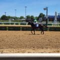 horse at the finish line at Churchill Downs