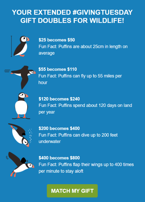 Student Conservation Association helps email subscribers understand their potential donation with a fun graphic