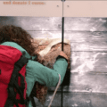 MISEREOR allowed people to use their credit cards to donate and immediately see the impact of their gift